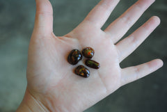 Fire Agate cabochons