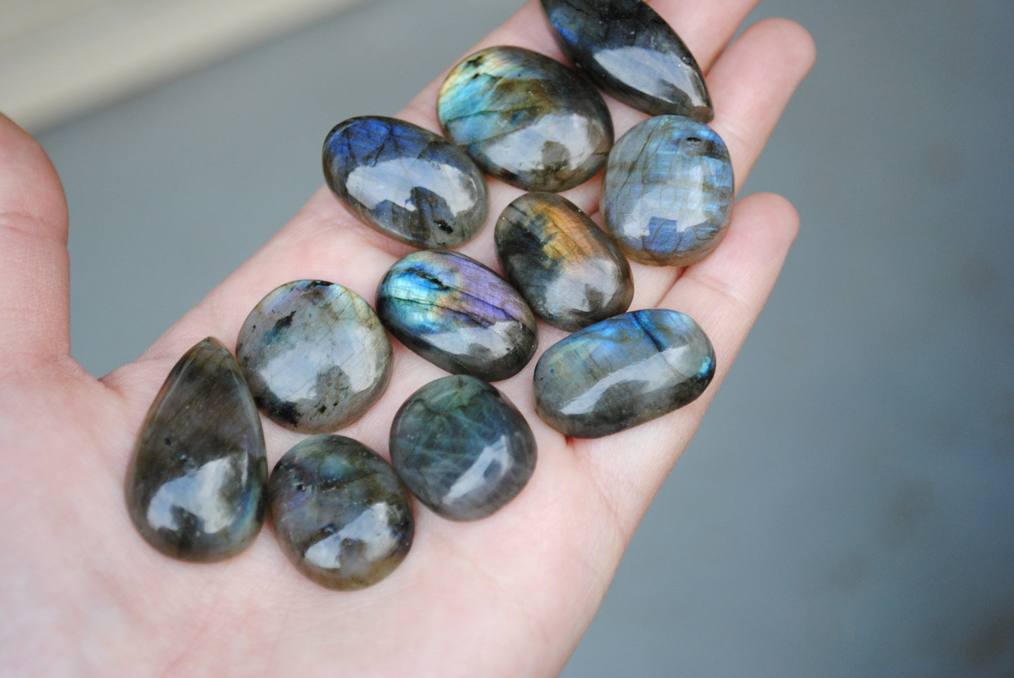 Labradorite Mixed Shape Cabs