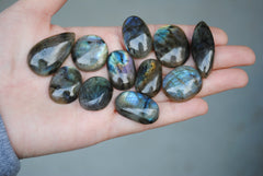 Labradorite Mixed Shape Cabs
