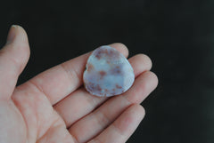Trillion Ocean Jasper cab