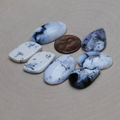 Dendritic Agate Mixed Shape Cabs