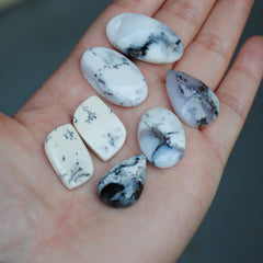 Dendritic Agate Mixed Shape Cabs
