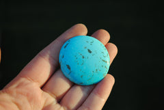 Kingman turquoise cabochon