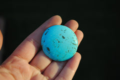 Kingman turquoise cabochon