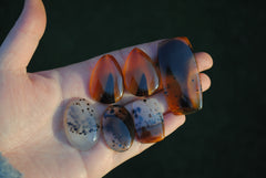 Montana agate cabochons