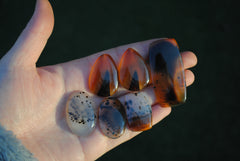 Montana agate cabochons