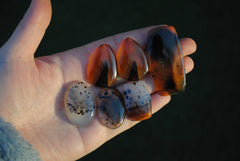 Montana agate cabochons