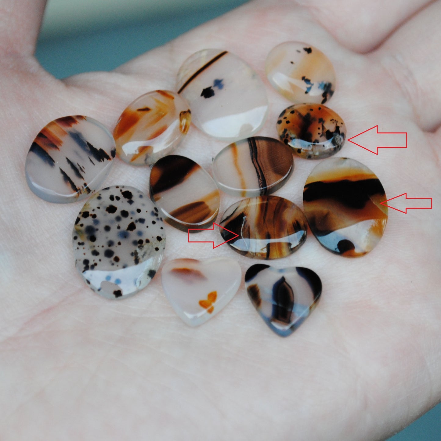 Montana Agate Small Cabs