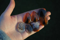 Montana agate cabochons