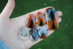 Montana agate cabochons
