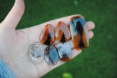 Montana agate cabochons