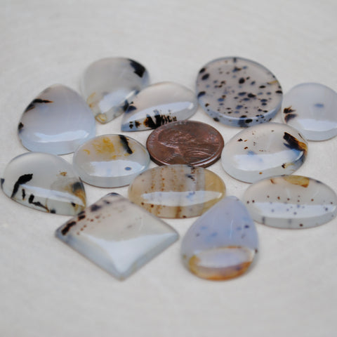 Montana Agate Cabs
