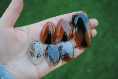 Montana agate cabochons