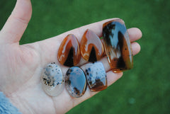 Montana agate cabochons