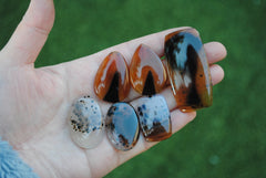 Montana agate cabochons