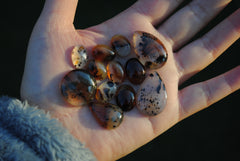 Montana agate cabochons