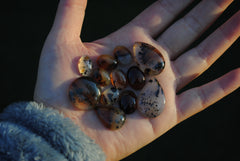 Montana agate cabochons