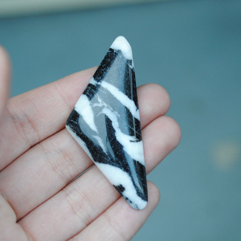 Zebra Jasper Cab