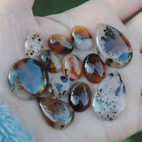 Montana agate cabochons