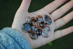 Montana agate cabochons
