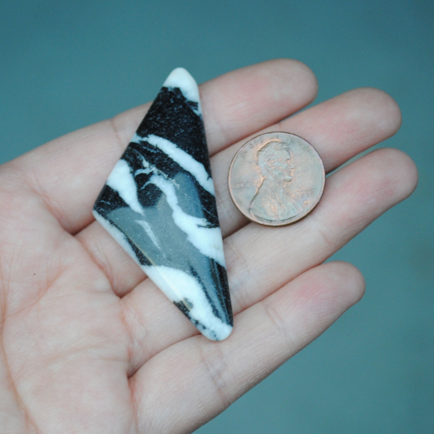 Zebra Jasper Cab