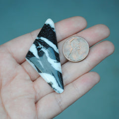 Zebra Jasper Cab