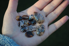 Montana agate cabochons