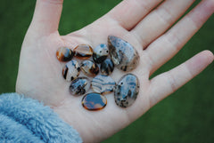 Montana agate cabochons
