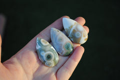 40 x 22mm drop Ocean Jasper cabochons