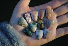 20x15mm Ocean Jasper cabochons