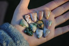20x15mm Ocean Jasper cabochons