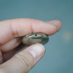 Red Creek Jasper Bead