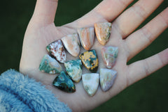 20x15mm Ocean Jasper cabochons