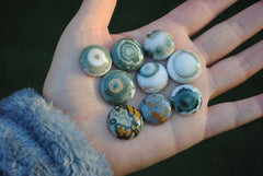 18-20mm Round Ocean Jasper cabochons