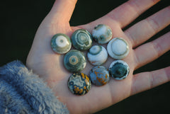 18-20mm Round Ocean Jasper cabochons