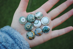 18-20mm Round Ocean Jasper cabochons