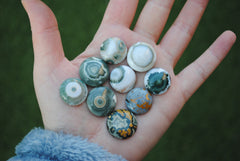 18-20mm Round Ocean Jasper cabochons