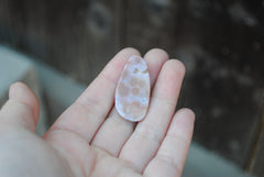 Freeform Ocean Jasper cabochon