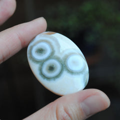 Large oval Ocean Jasper cabochon