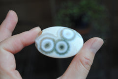 Large oval Ocean Jasper cabochon