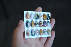 Small Drop Ocean Jasper cabochons