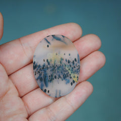 Large Montana Agate Cab