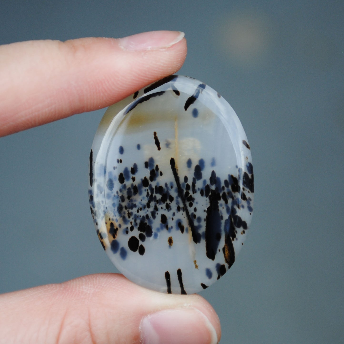 Large Montana Agate Cab