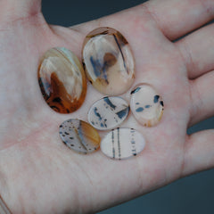 Montana Agate Cabs (lot 1)
