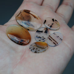 Montana Agate Cabs (lot 1)