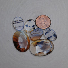Montana Agate Cabs (lot 1)