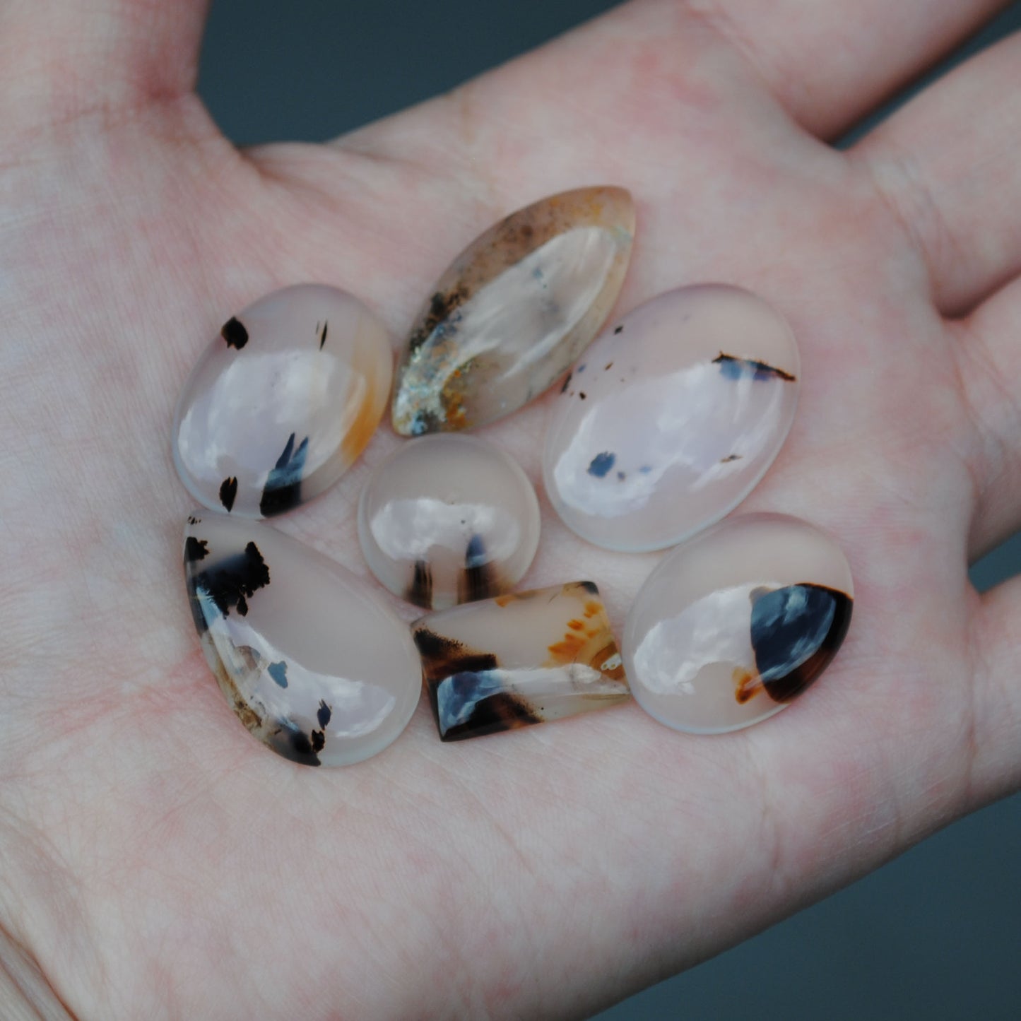 Montana Agate Cabs (lot 2)