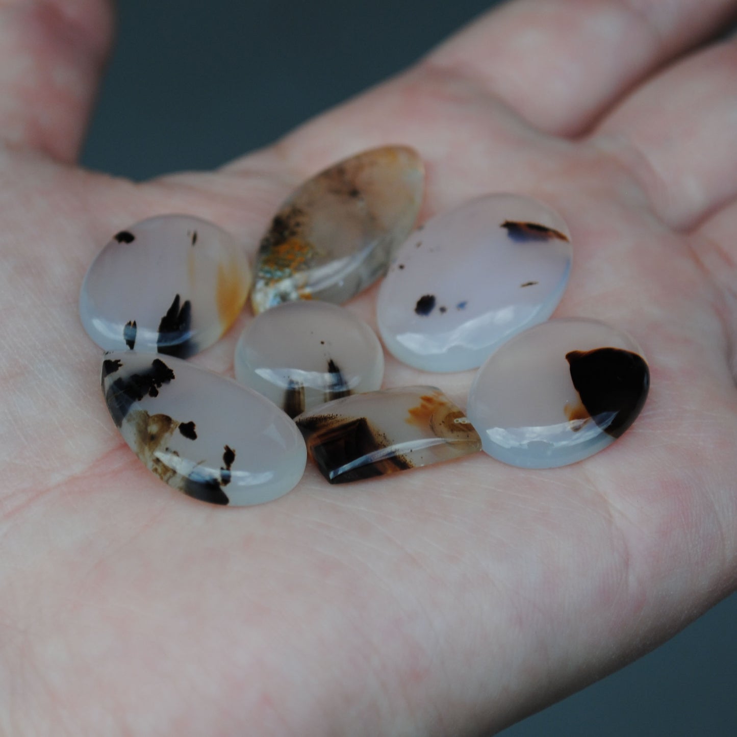 Montana Agate Cabs (lot 2)