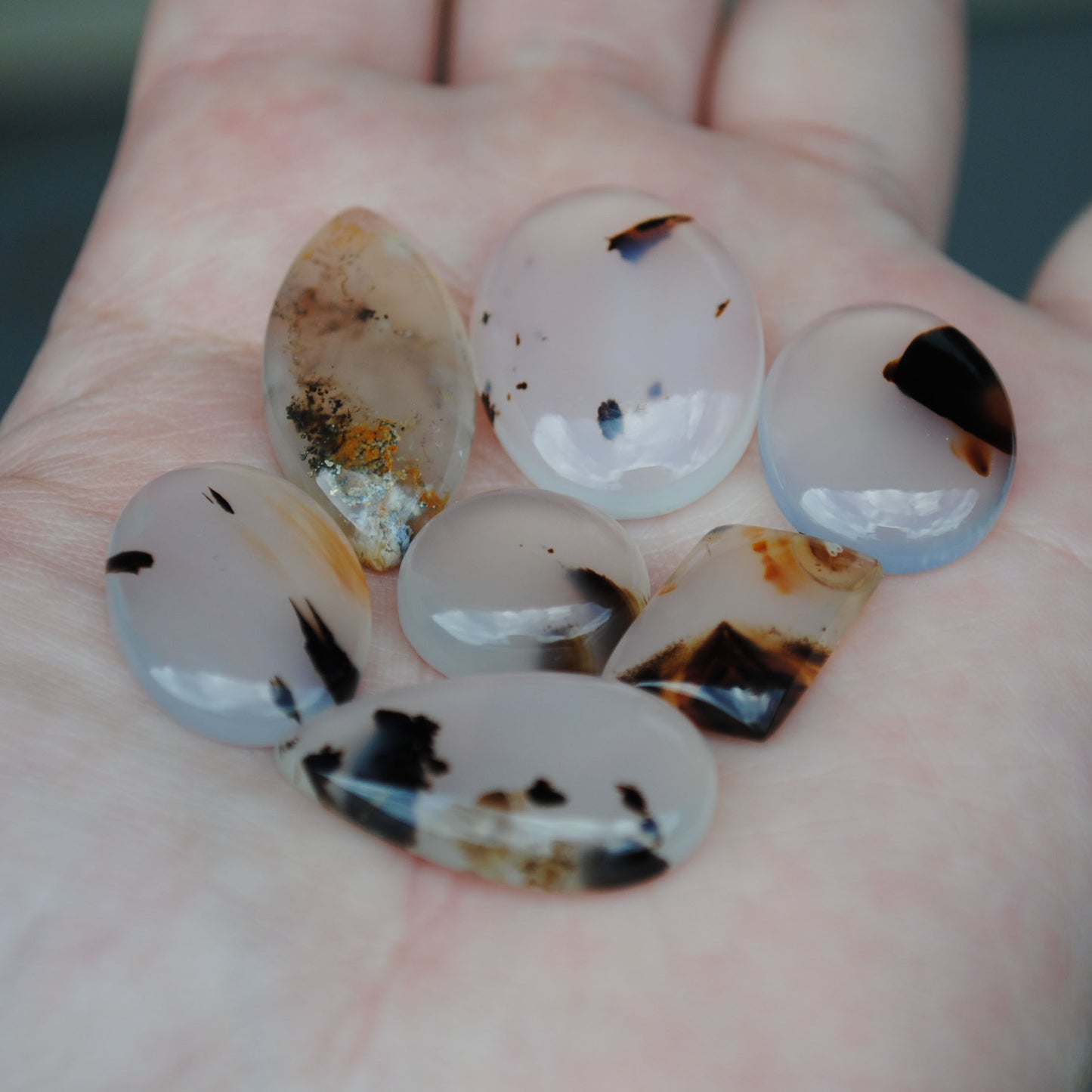 Montana Agate Cabs (lot 2)