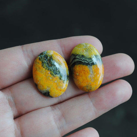 Bumblebee jasper cabochons